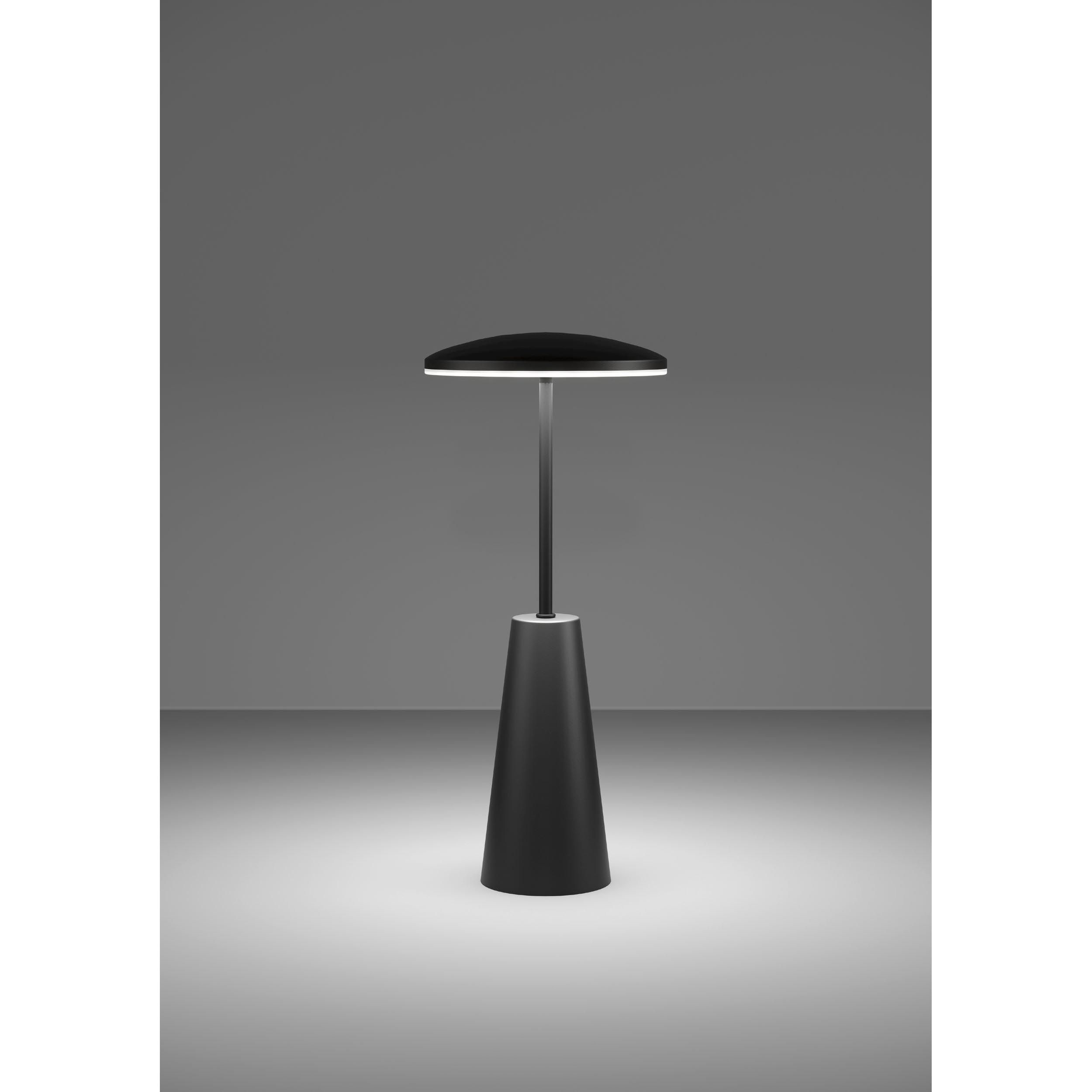 Lampe extérieure en métal noir PICCOLA led intégrée 2,8W