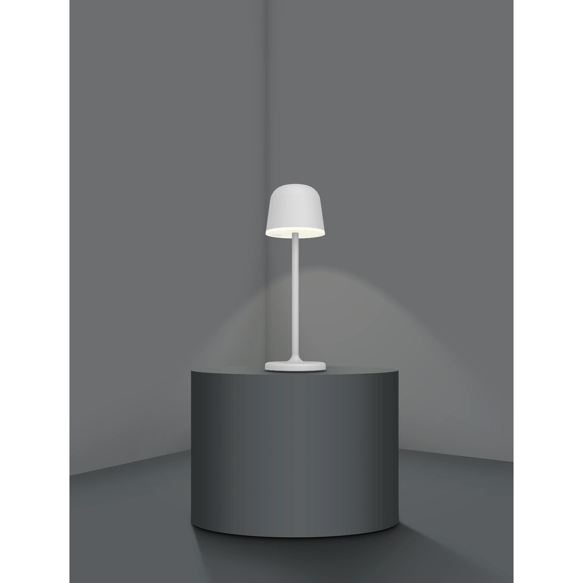 Lampe de sol extérieure en métal gris MANNERA led intégrée 2,2W