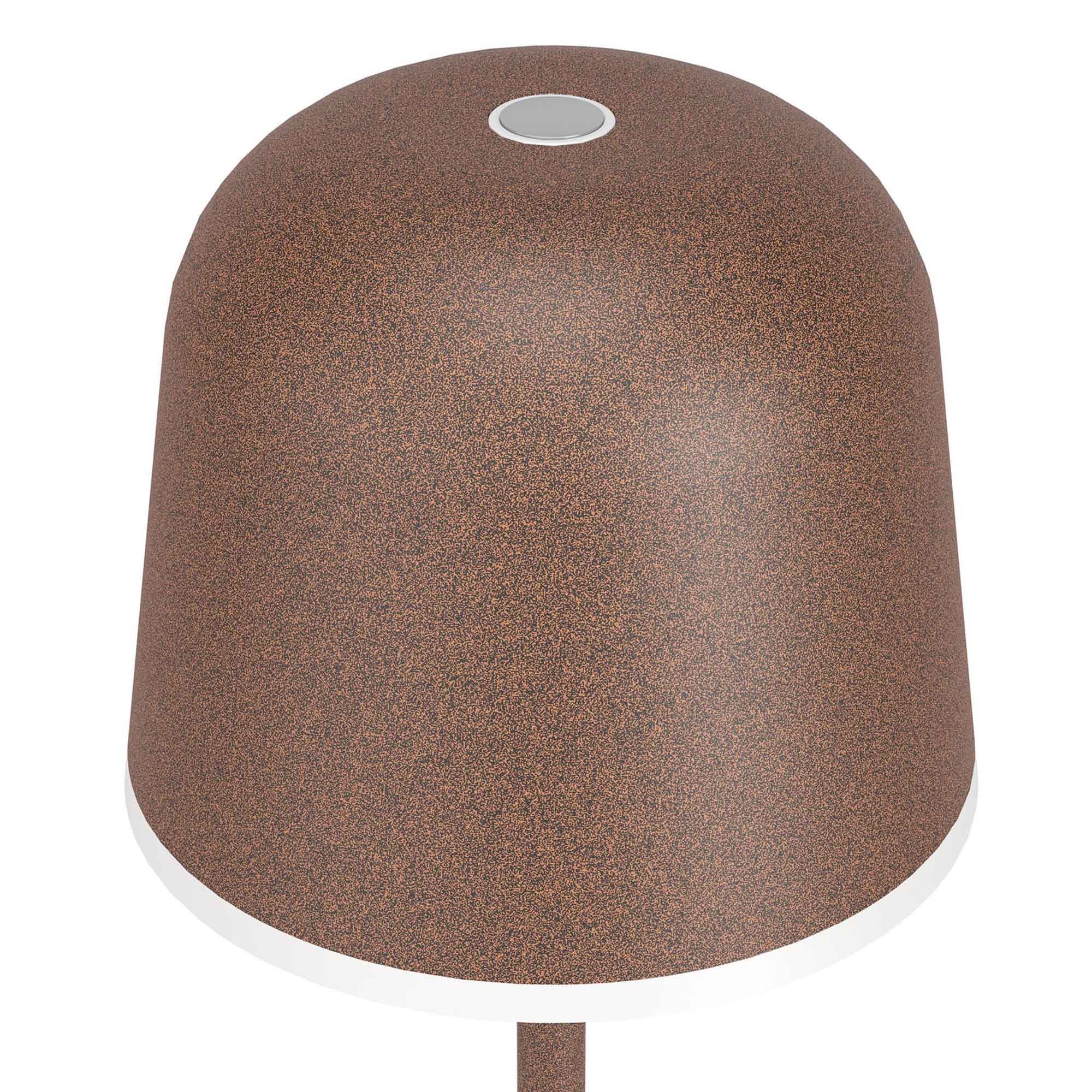 Lampe de sol extérieure en métal marron MANNERA led inégrée 2,2W