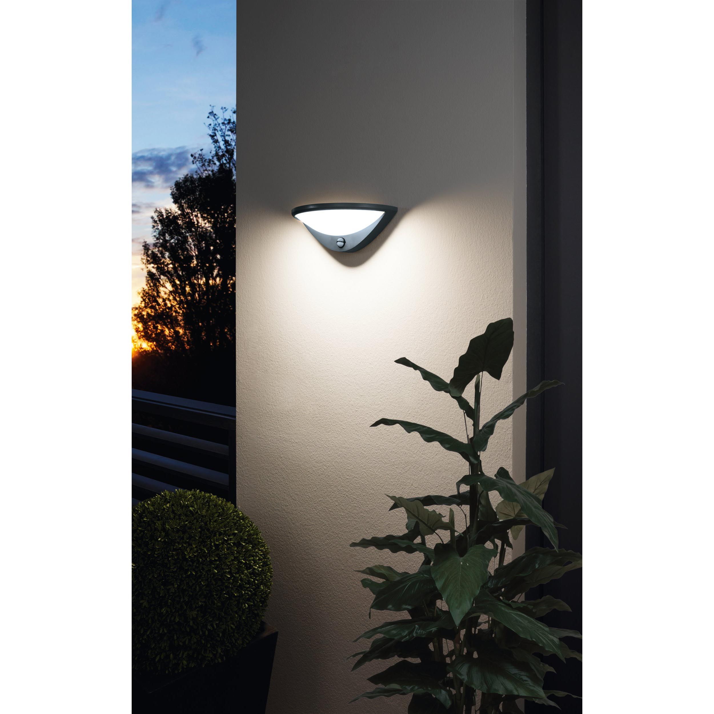 Applique extérieure métal anthracite BELCREDA LED INT 1X9W